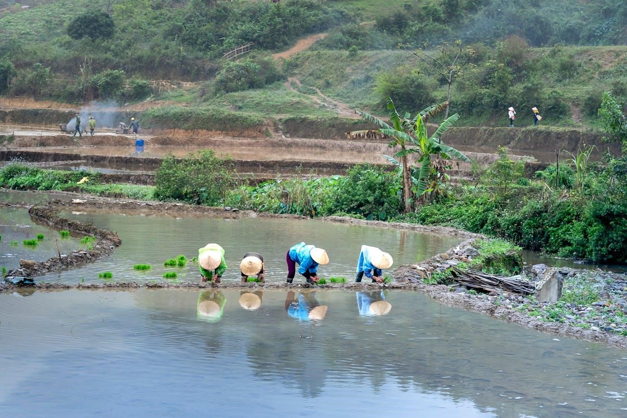 Biggest Irrigation Challenges Faced By Farmers in 2024